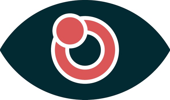 Visual Vector Icon