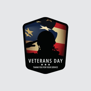Veterans day background national holiday of the united state vector