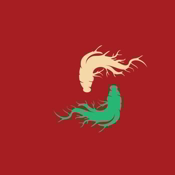 Ginseng vector icon illustration design