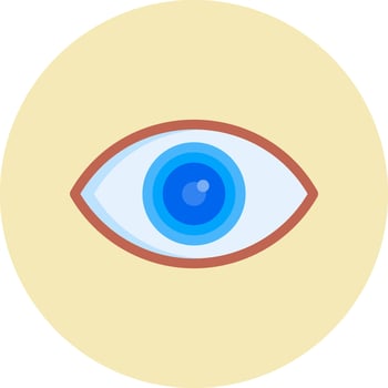 Visual Vector Icon
