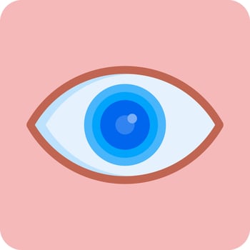 Visual Vector Icon