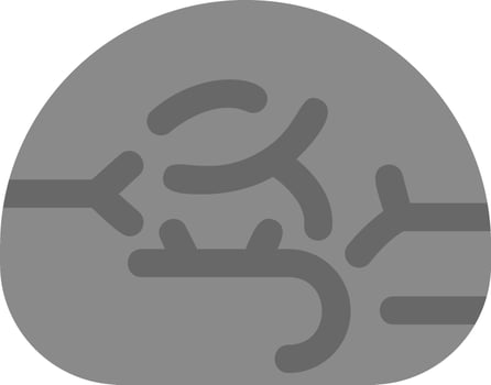 Brain Vector Icon