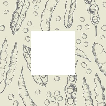 Soybean plant hand drawn background border vector illustration of bean,stems soya plant, flower soy.Backdrop template for healthy food, natural protein, seed harvest. For print, label, packing, design