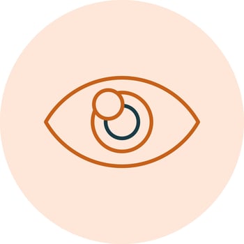 Visual Vector Icon