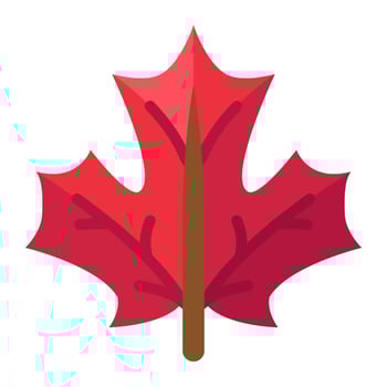 leaves flat icon,vector and illustration vector