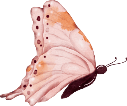 Pink butterfly watercolor painting png