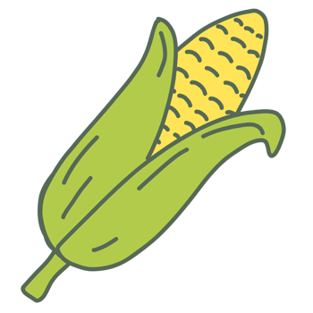 Fresh corn peeled png