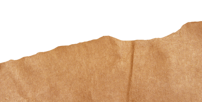 Torn paper piece on transparent background. Ripped paper label png. png
