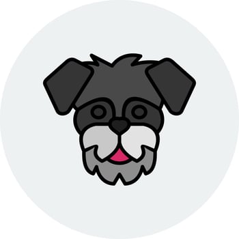 Schnauzer Vector Icon