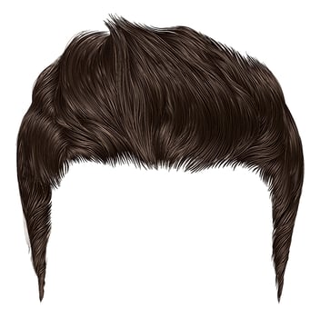 trendy stylish man hairs brown blonde colour.beauty style.high hair styling . vector