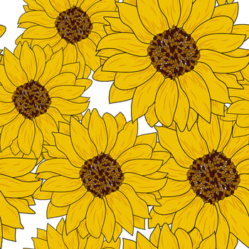 Realistic sunflower design vector