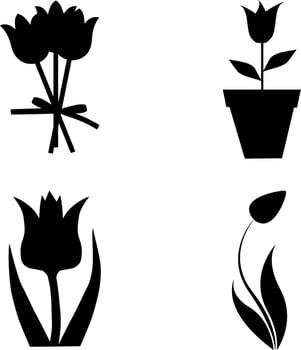 Tulip Silhouette Vector on white background
