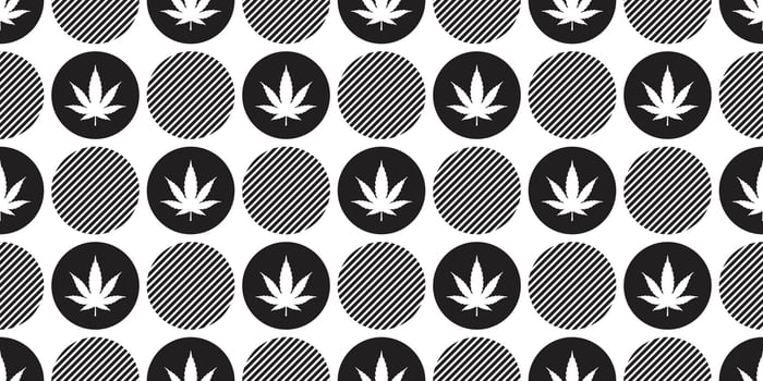 Marijuana seamless pattern vector cannabis weed leaf polka dot repeat wallpaper tile background scarf isolated plant illustration design