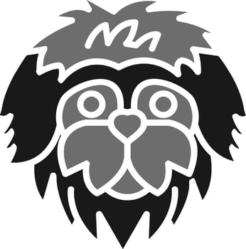 Bergamasco Vector Icon