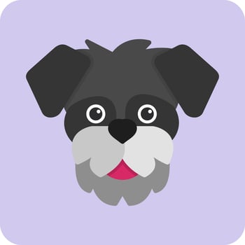 Schnauzer Vector Icon