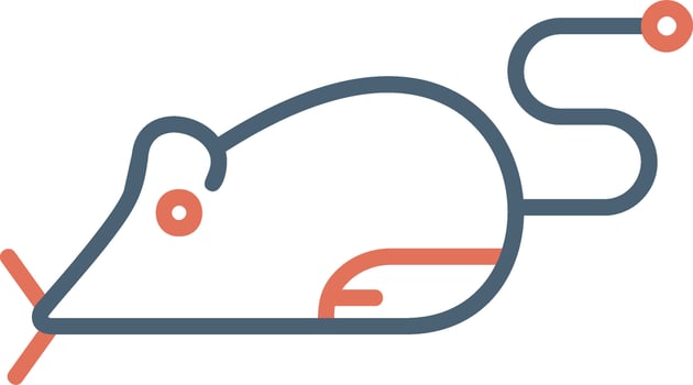 Mouse Vector Icon