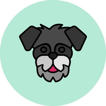 Schnauzer Vector Icon