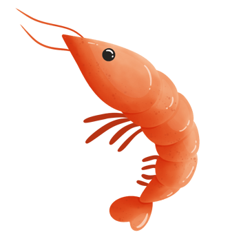 Cute shrimp cartoon drawing png