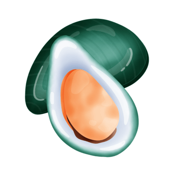 Cute mussels cartoon drawing png