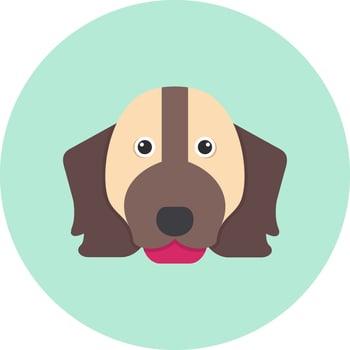 Springer Spaniel Vector Icon
