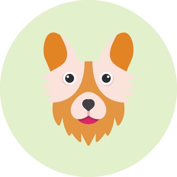 Corgi Vector Icon