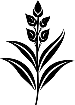 Lavender, Black and White Vector illustration