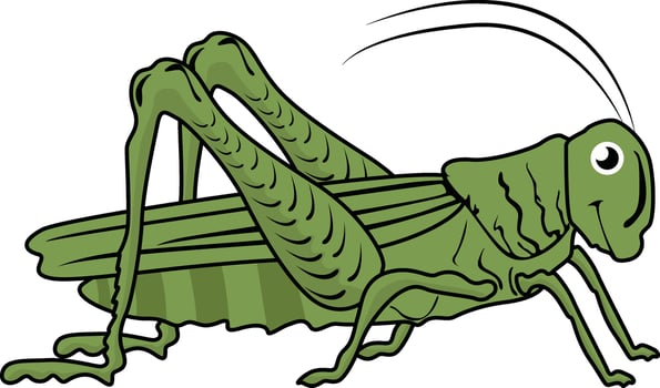 Grasshopper designed using lines. A Bug art illustration. vector