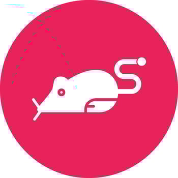 Mouse Vector Icon