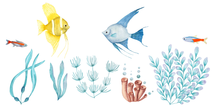 Watercolor illustration of set of marine fauna. Yellow, blue angelfishes, neon fish among plants, corals, seaweed, plants. Print design poster fabric decoration png