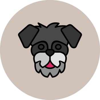 Schnauzer Vector Icon
