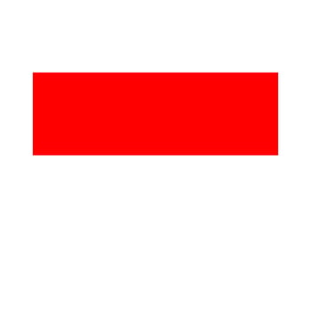 national country flag of indonesia vector