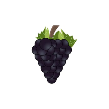 grapes icon vector design templates
