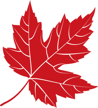 Autumn maple leaf, png file no background