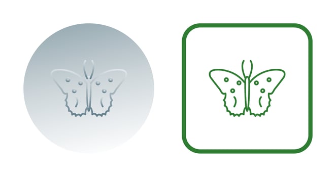 Butterfly Vector Icon