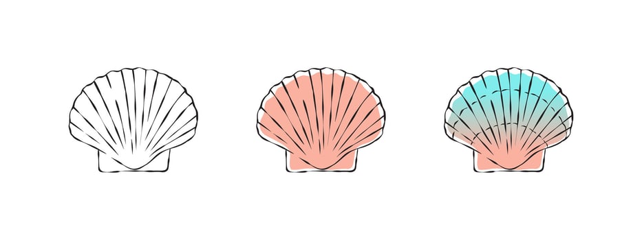 Seashells sketch. Scallop images. Shells are hand drawn. Vector scalable graphics