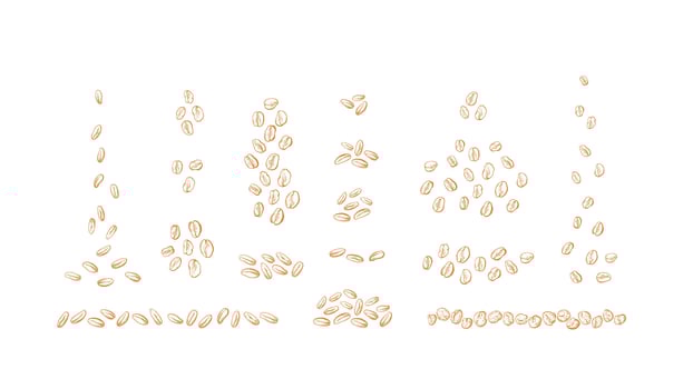 Grain set Oat, wheat graphic seeds Vector outline