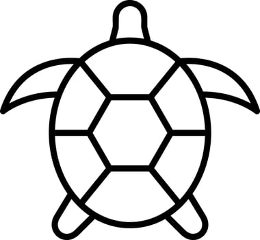 Turtle Vector Icon