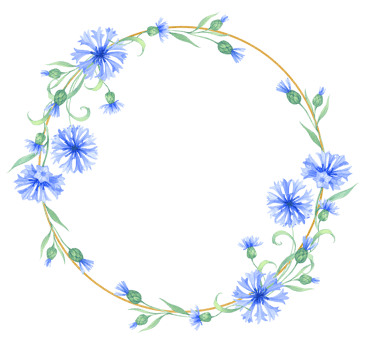 Frame with cornflower flowers. png