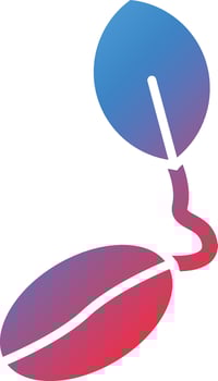 Seeds Vector Icon