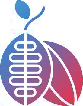 Cacao Vector Icon