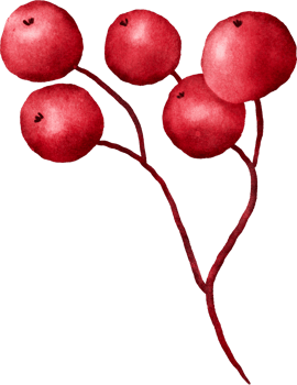Christmas Berries Watercolor png