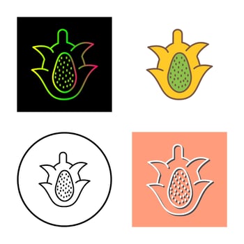 Dragon Fruit Vector Icon
