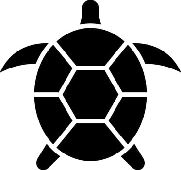 Turtle Vector Icon