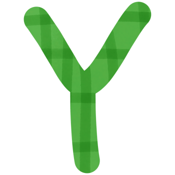 alphabet green png. png