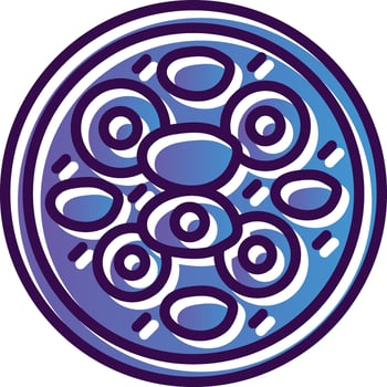 Clam Linguine Vector Icon Design