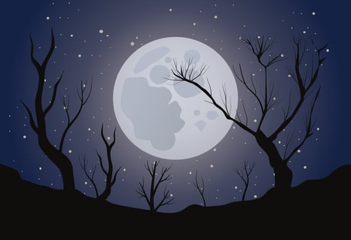 Night background with moon vector