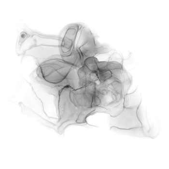 Black Ink Shape png