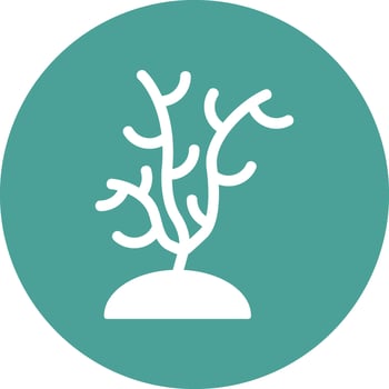 Coral Vector Icon
