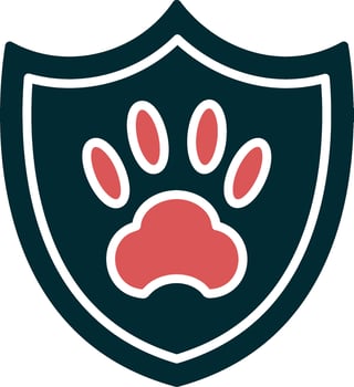 Shield Vector Icon