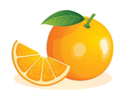 Orange fruit whole and cut sliced. Vector illustration isolated on white background